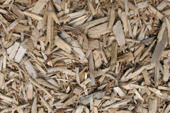 biomass boilers Nesscliffe